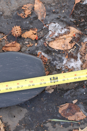 2019 JLG 1255 Turbo Diesel For Sale 149617_14